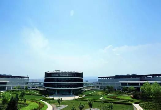 图片10